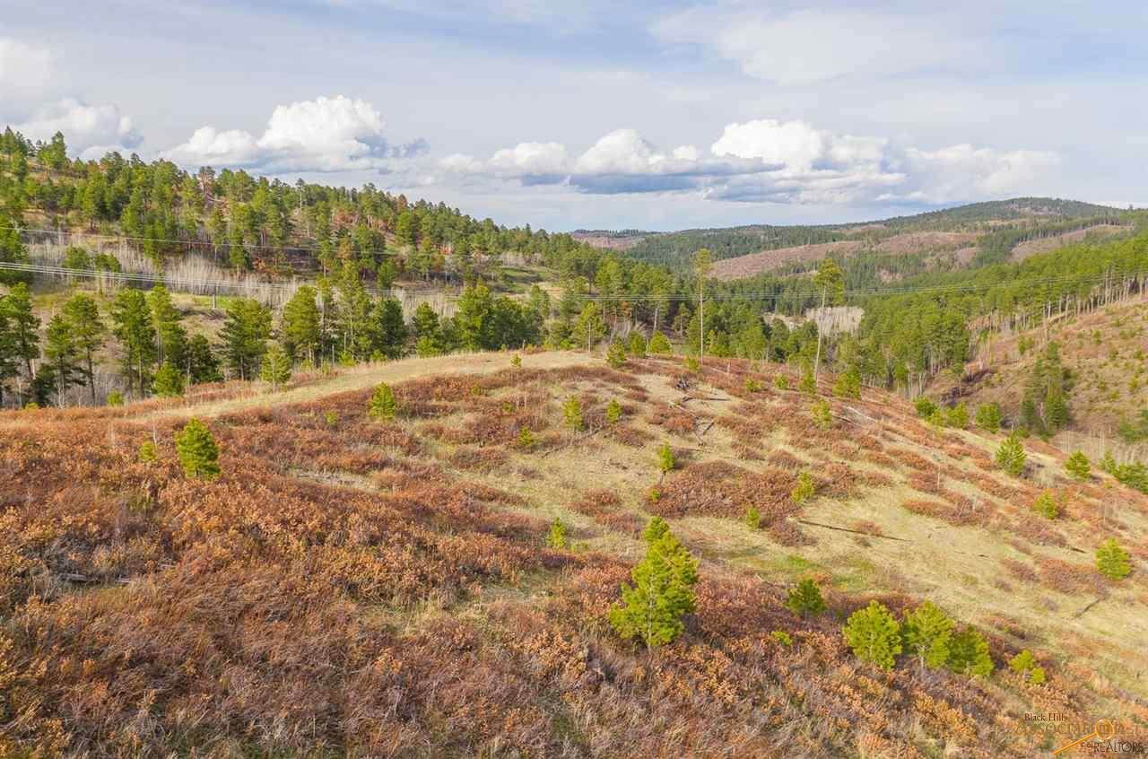 LOT 6 Tahencala Ct - Photo 1