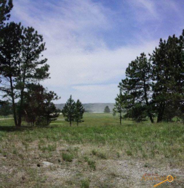 Lot 4 Blk 4 Custer Highlands - Photo 1