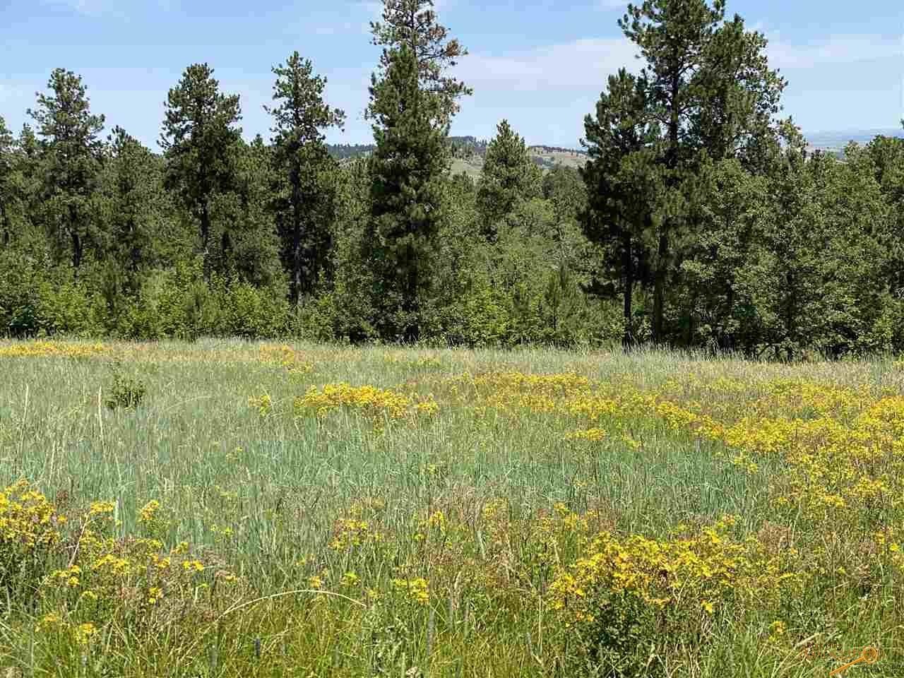 tbd tract 1 Oak - Photo 1