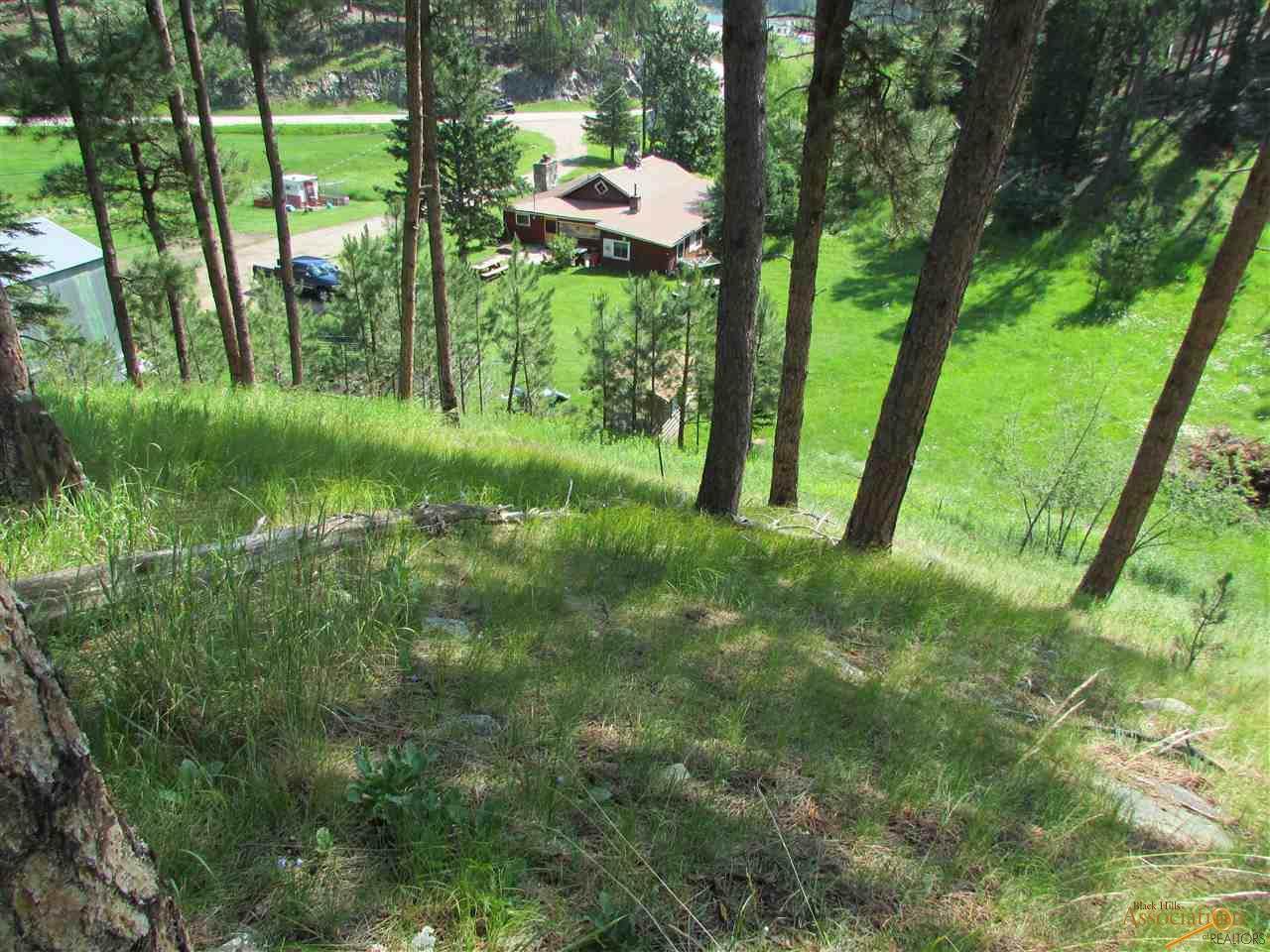 TBD Goodart Rd - Photo 1