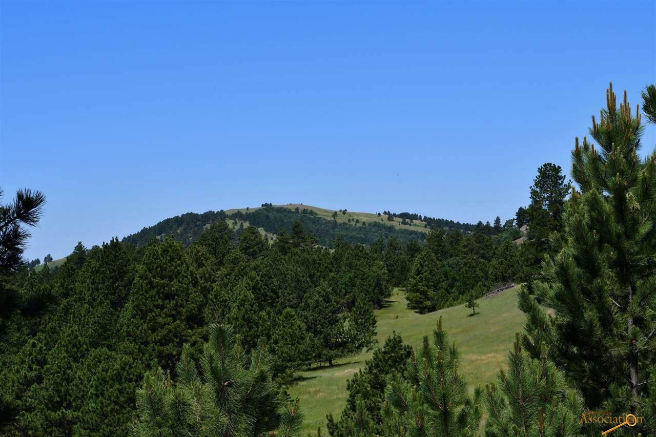 tbd tract 8 Oak - Photo 1