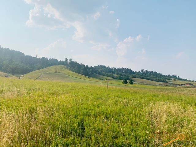 TBD Brooks Loop - Photo 1