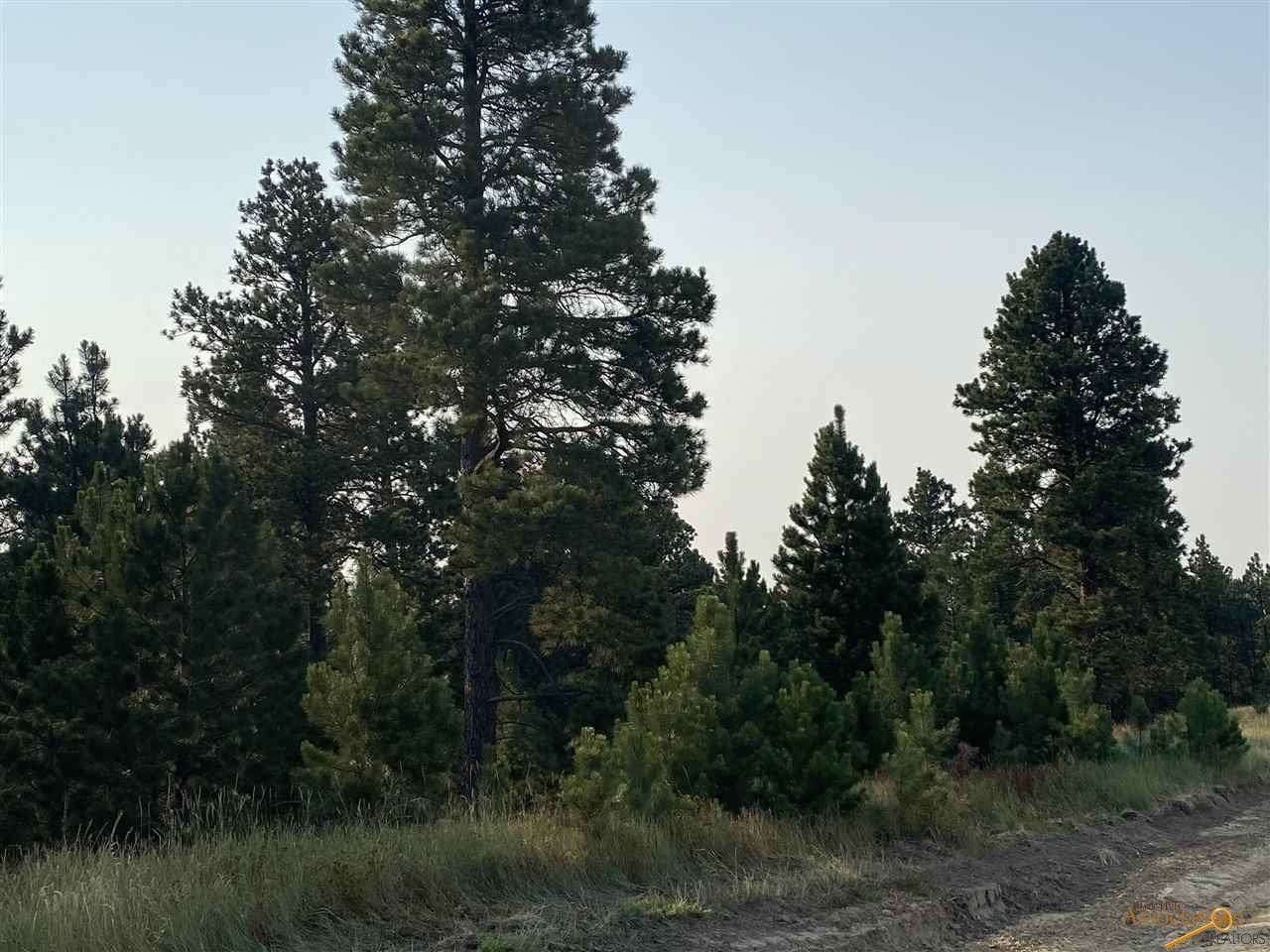 TBD LOT 14 Oak - Photo 1