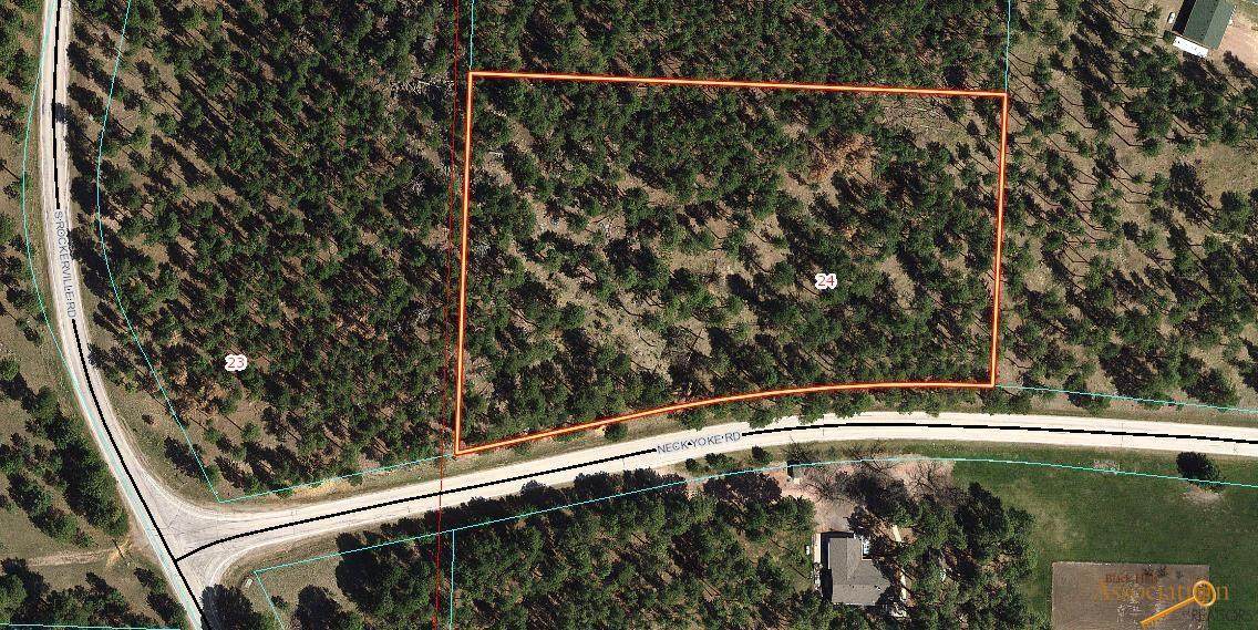tbd Neck Yoke Rd - Photo 1