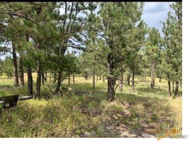 TBD Wind River Pl - Photo 1