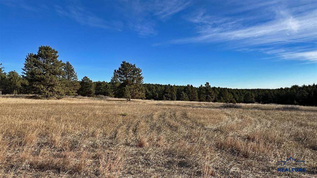 Lot 7 Westwind Dr - Photo 1