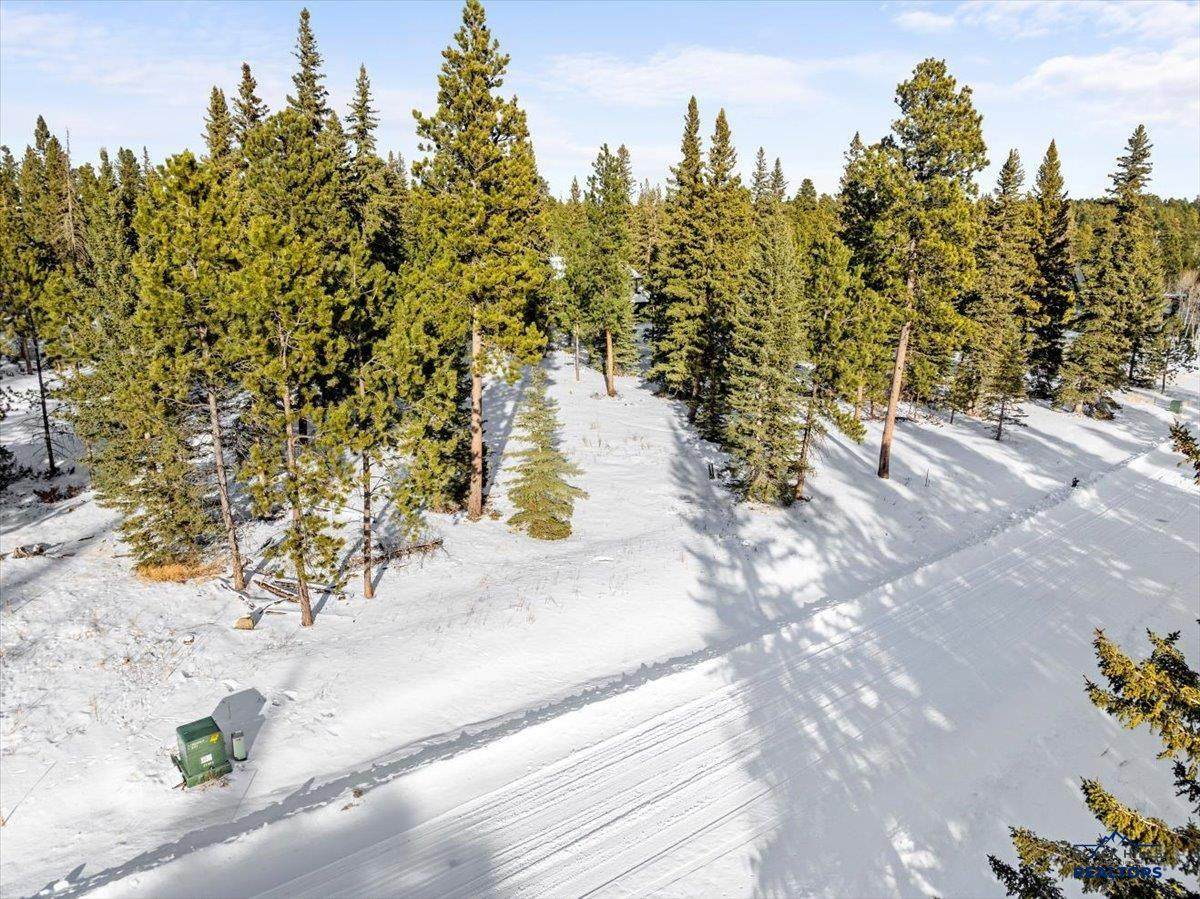Lot 6 Block 6 Woodland Way - Photo 1