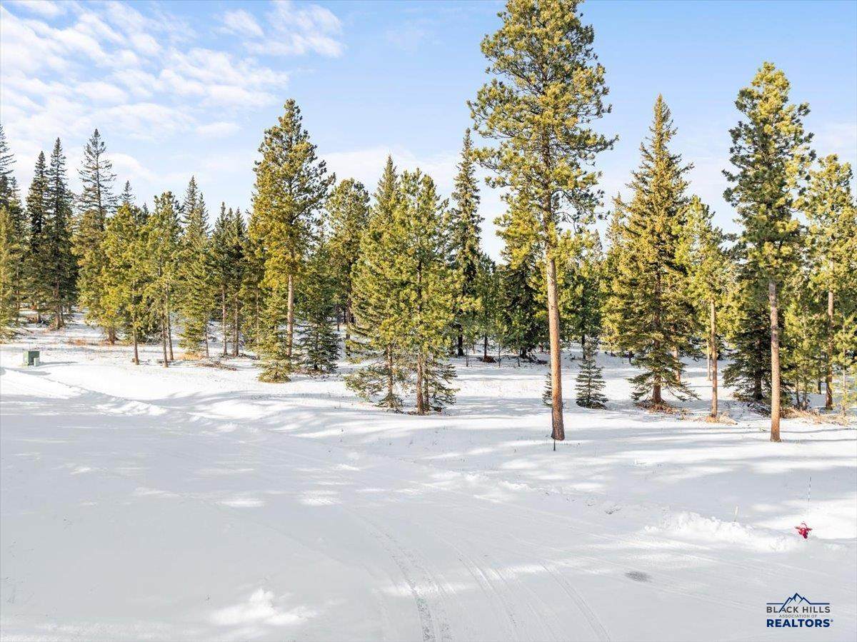 https://bt-photos.global.ssl.fastly.net/blackhills/orig_boomver_1_171683-2.jpg