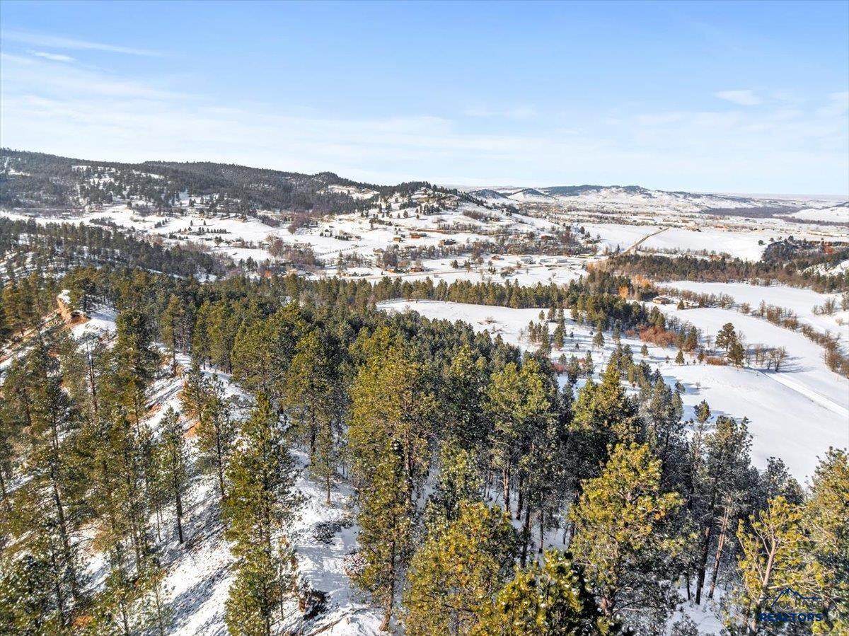 TBD Crook Mountain Rd - Photo 1