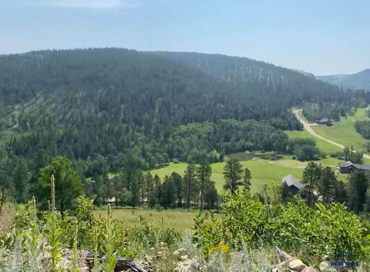 https://bt-photos.global.ssl.fastly.net/blackhills/orig_boomver_1_173046-2.jpg