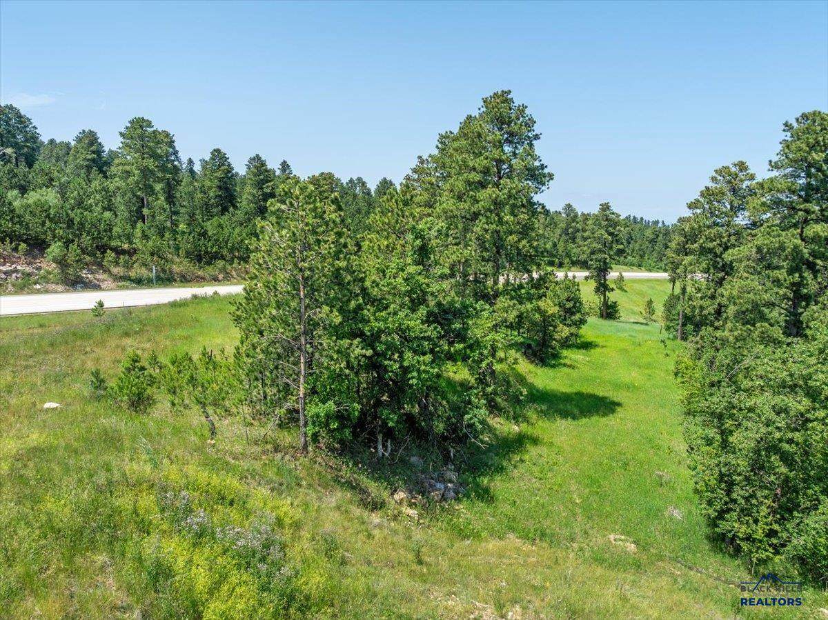 Lot 1 Us Highway 85 - Photo 1