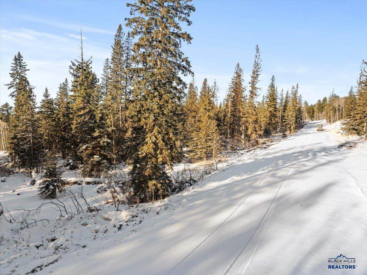 Lot 5 Lost Camp Trail - Photo 1