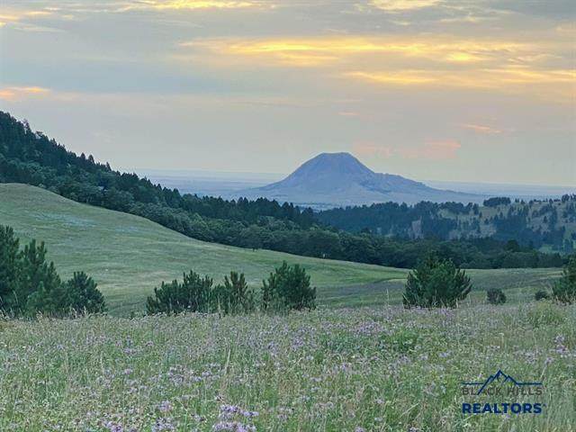 149.82+/- Acres Other - Photo 1