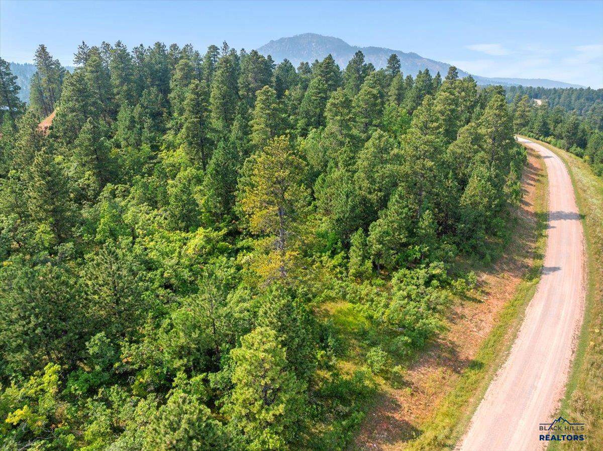 Lot 5 Block 5 Tanager Ct - Photo 1