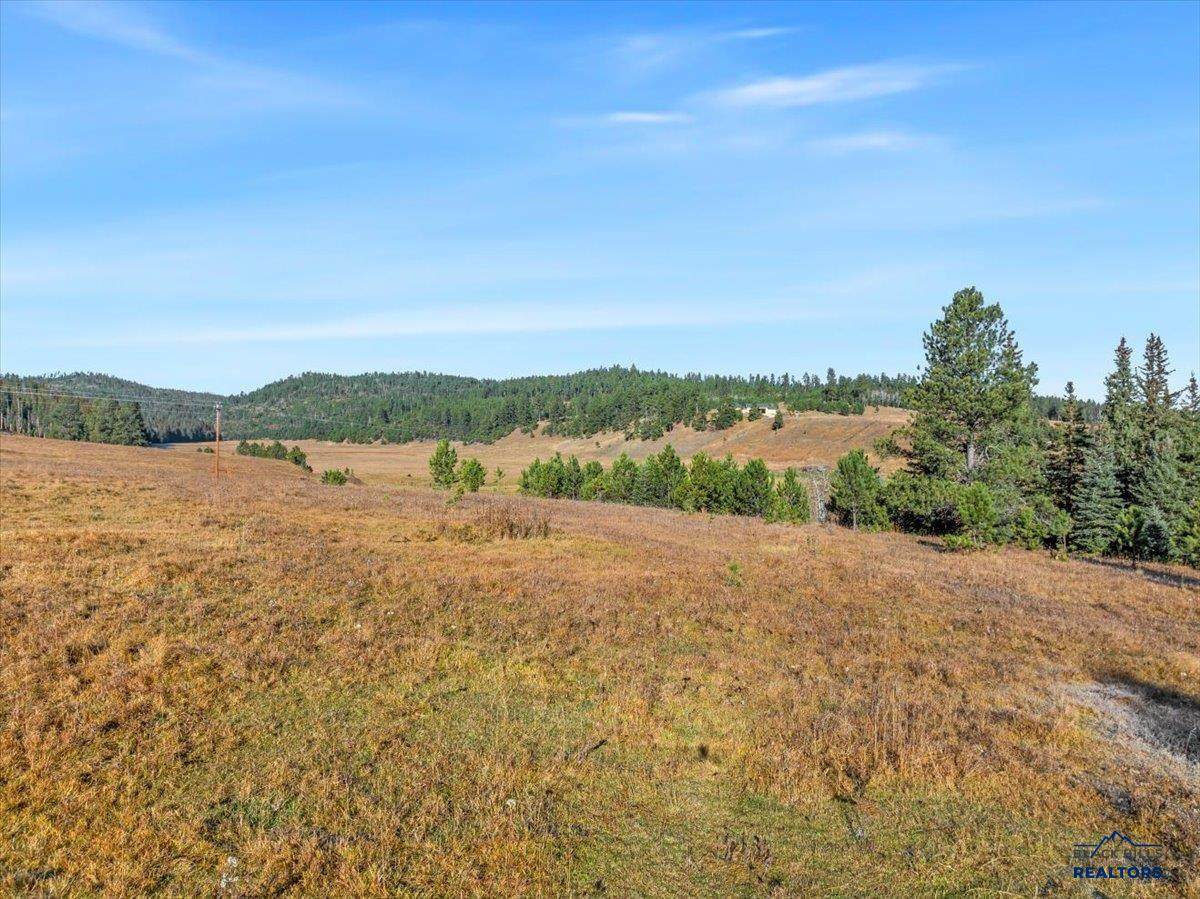TBD Rocky Johnson Rd - Photo 1