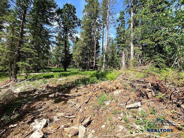 Lot 25 Other - Photo 1