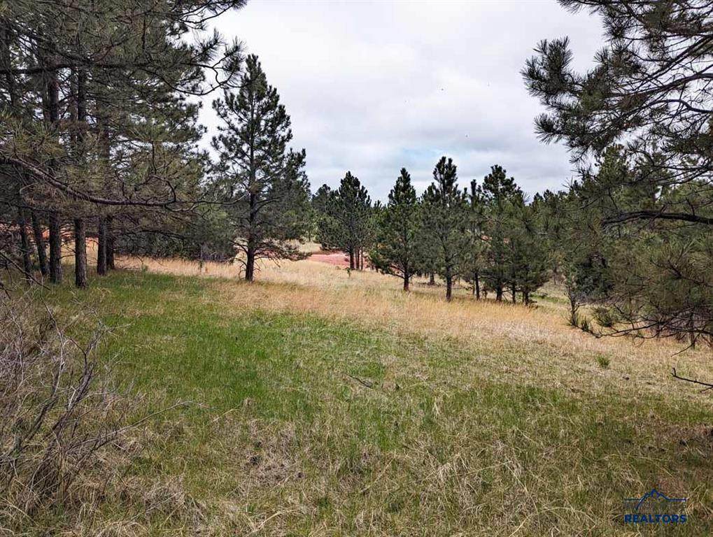 TBD Lot 5 Argyle Rd - Photo 1