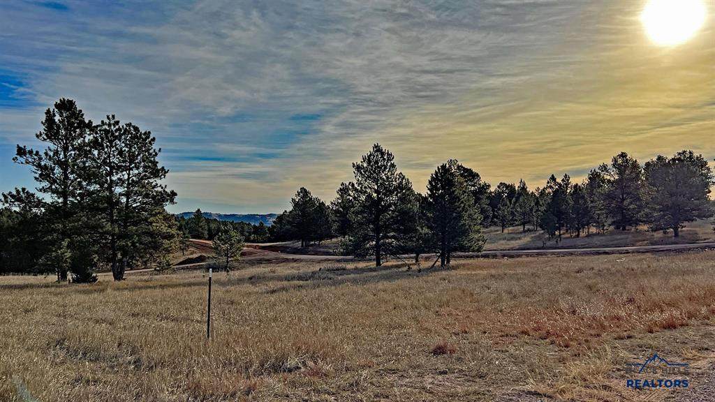 https://bt-photos.global.ssl.fastly.net/blackhills/orig_boomver_1_177924-2.jpg