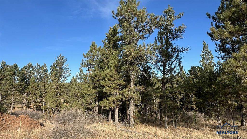 Lot 5 Westwind Dr - Photo 1