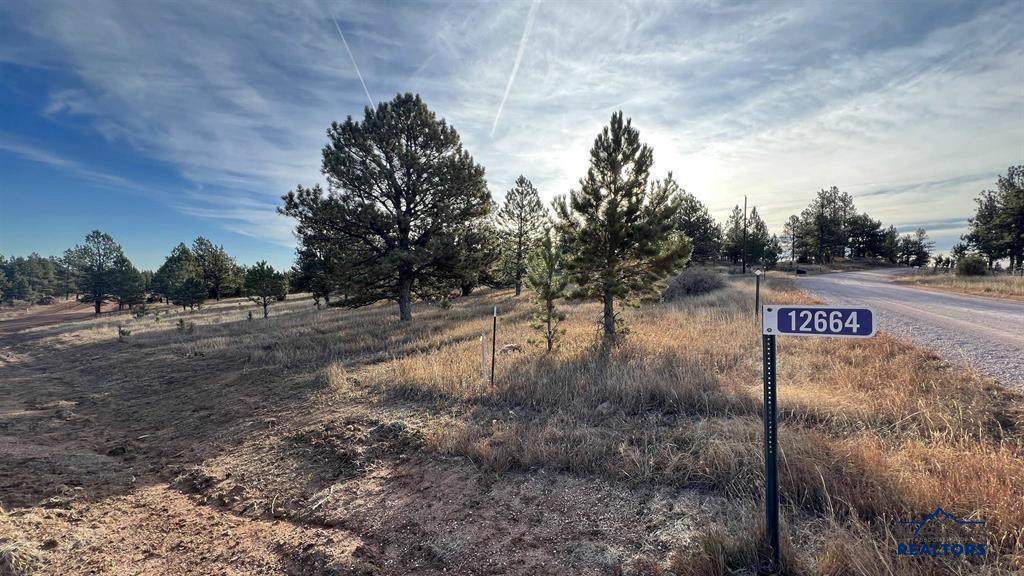 Lot 1 Westwind Dr - Photo 1