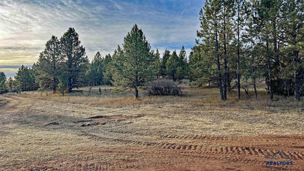 Lot 2 Westwind Dr - Photo 1