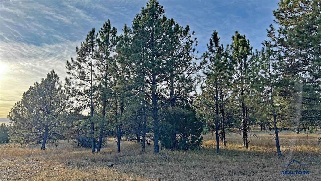 https://bt-photos.global.ssl.fastly.net/blackhills/orig_boomver_1_177931-2.jpg