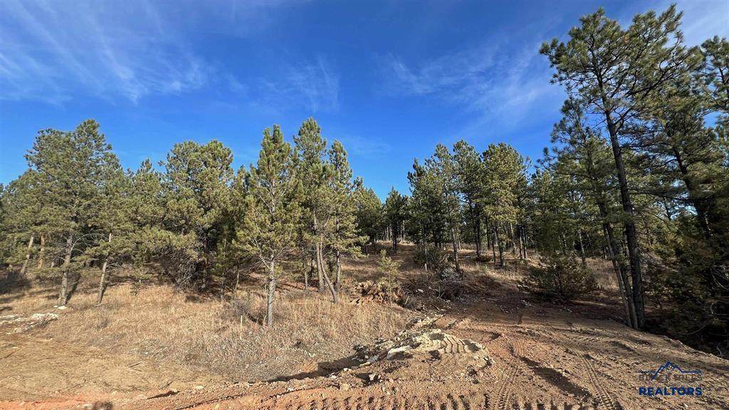 Lot 11 Northview Dr - Photo 1