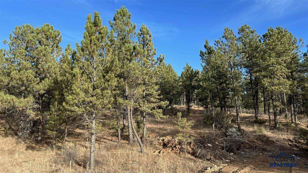 https://bt-photos.global.ssl.fastly.net/blackhills/1280_boomver_1_177933-2.jpg