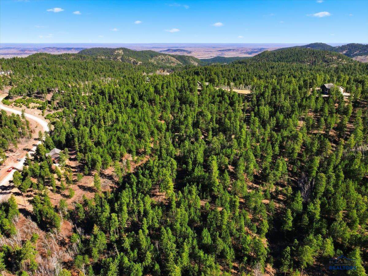 https://bt-photos.global.ssl.fastly.net/blackhills/orig_boomver_1_178060-2.jpg