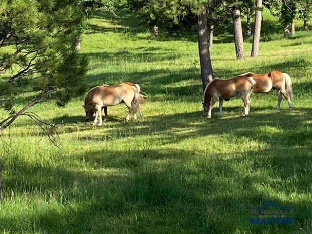 https://bt-photos.global.ssl.fastly.net/blackhills/orig_boomver_1_178075-2.jpg