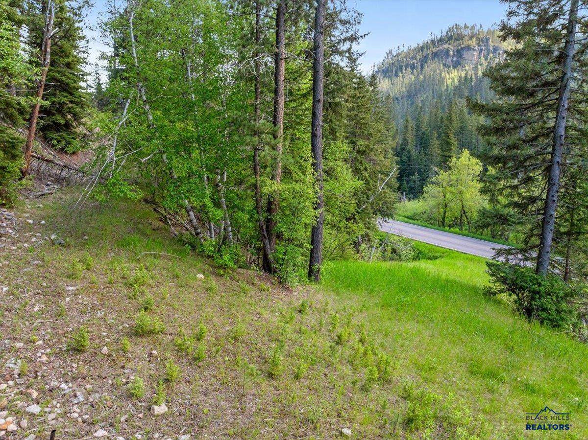 M.S. 1742 Lot 2 Hwy 14A - Photo 1