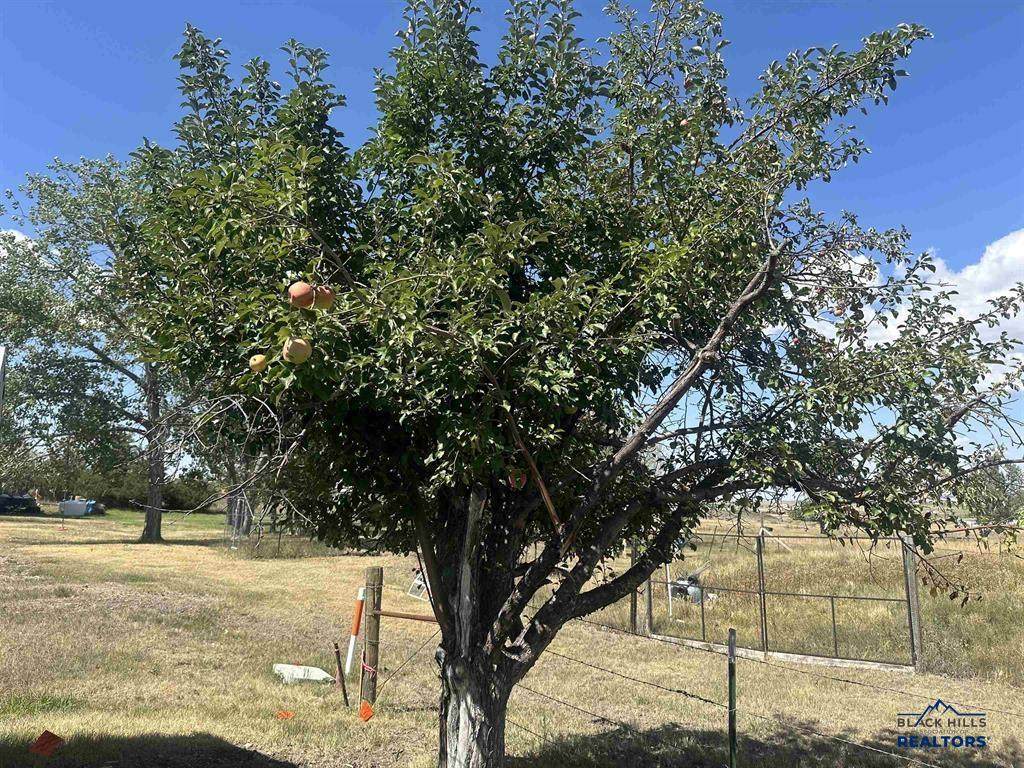 https://bt-photos.global.ssl.fastly.net/blackhills/orig_boomver_1_178254-2.jpg