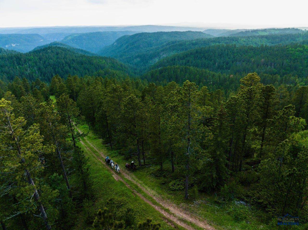 https://bt-photos.global.ssl.fastly.net/blackhills/orig_boomver_1_178898-2.jpg