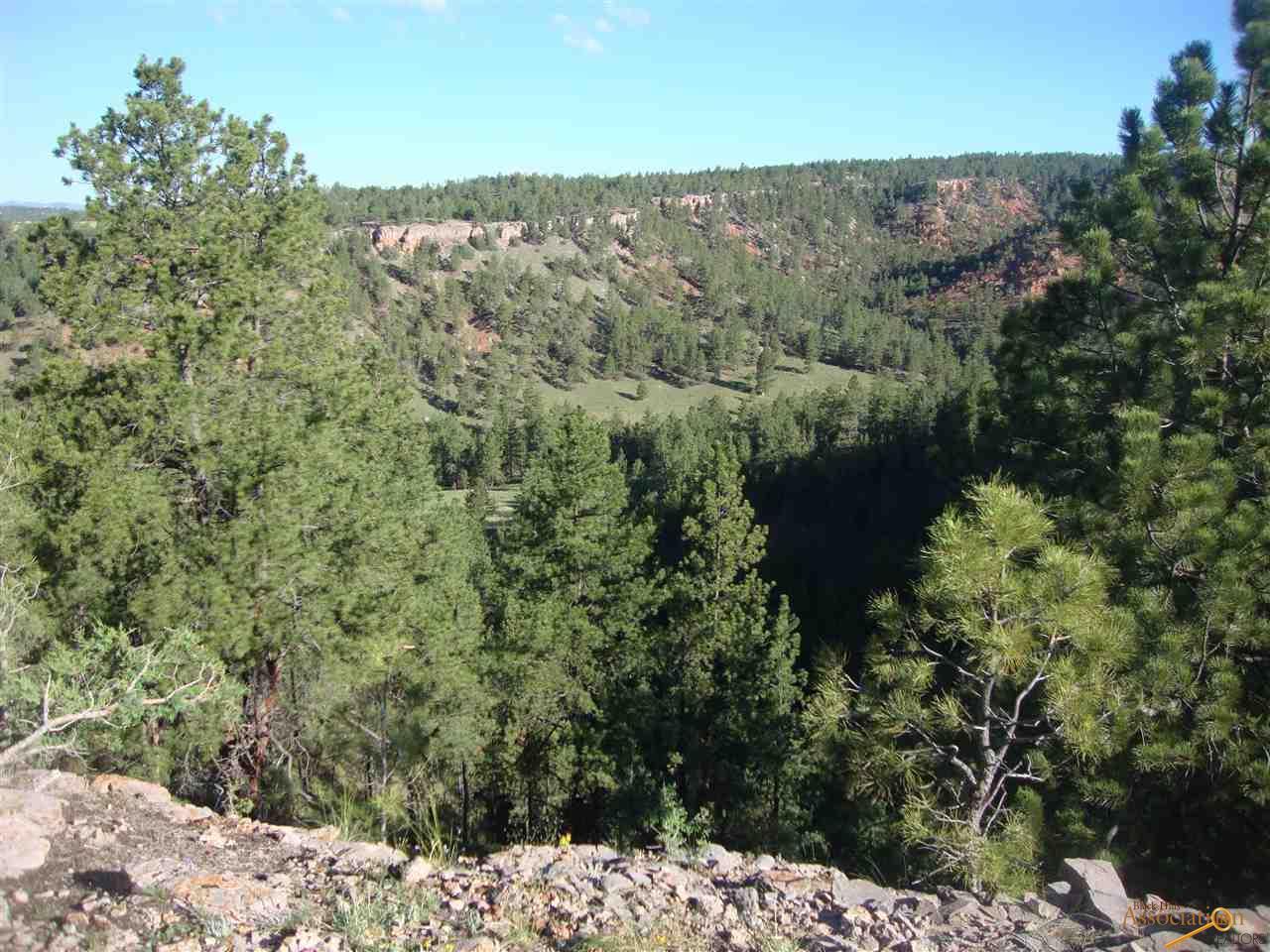 Lot 2 Red Canyon Rd - Photo 1