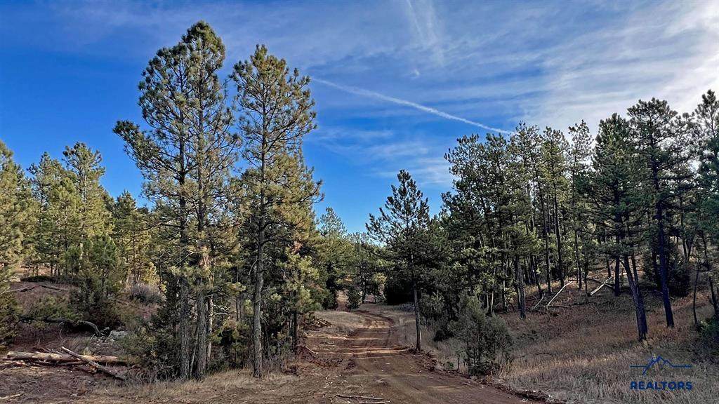 Lot 12 Northview Dr - Photo 1