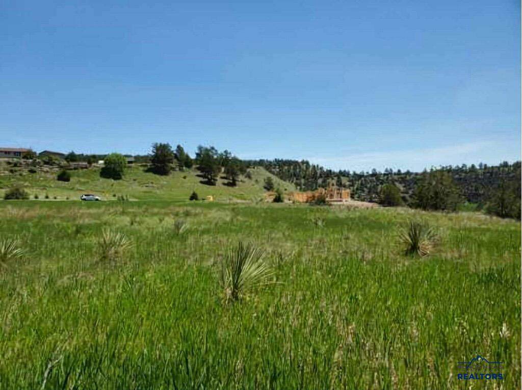 27559 Denise Drive - Photo 1