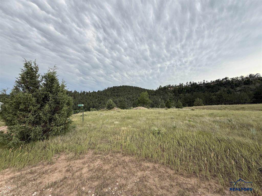 https://bt-photos.global.ssl.fastly.net/blackhills/orig_boomver_2_175628-2.jpg
