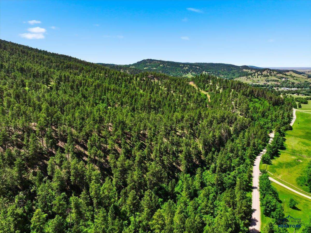 80.1 +/- Acres Crook Mountain Rd - Photo 1