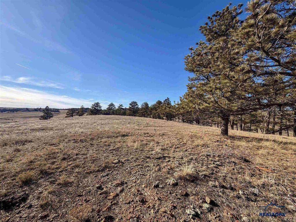 TBD Rocky Ford Rd - Photo 1