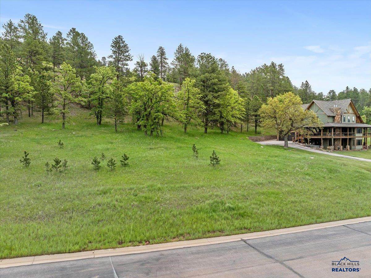 https://bt-photos.global.ssl.fastly.net/blackhills/orig_boomver_3_174064-2.jpg