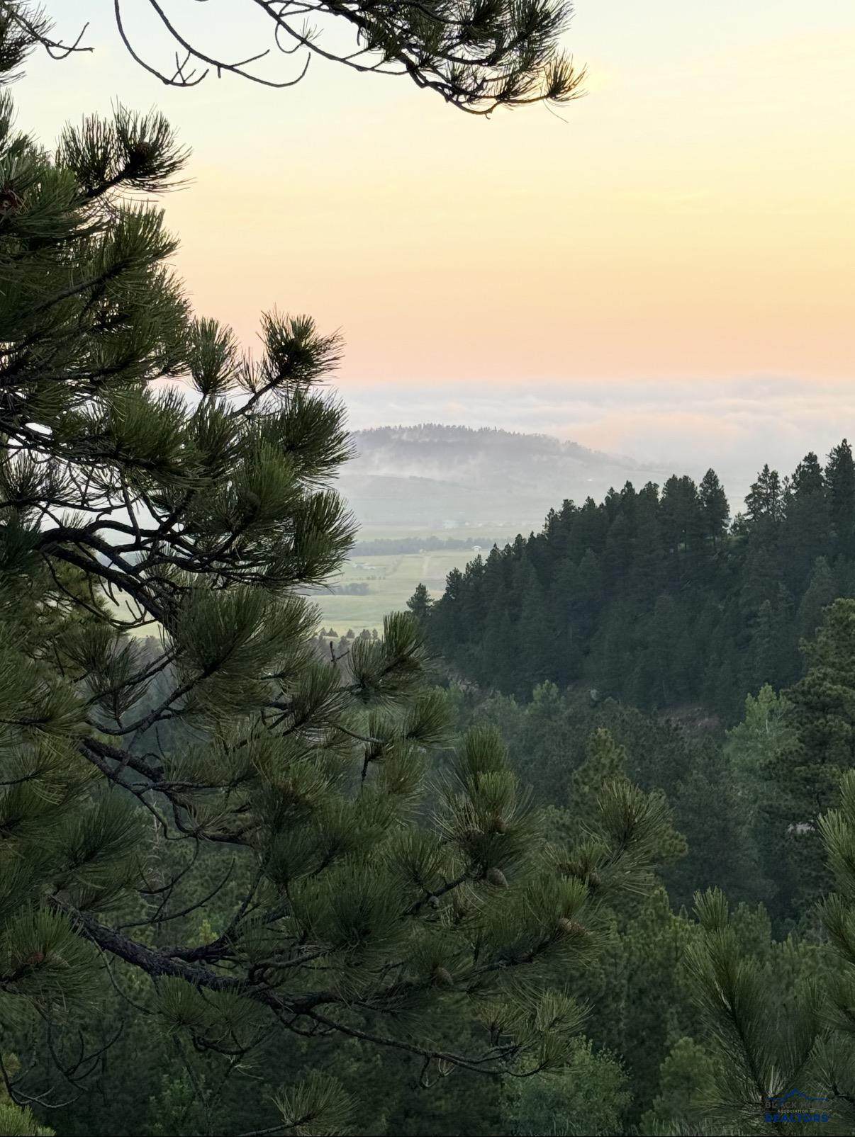 https://bt-photos.global.ssl.fastly.net/blackhills/orig_boomver_3_177536-2.jpg