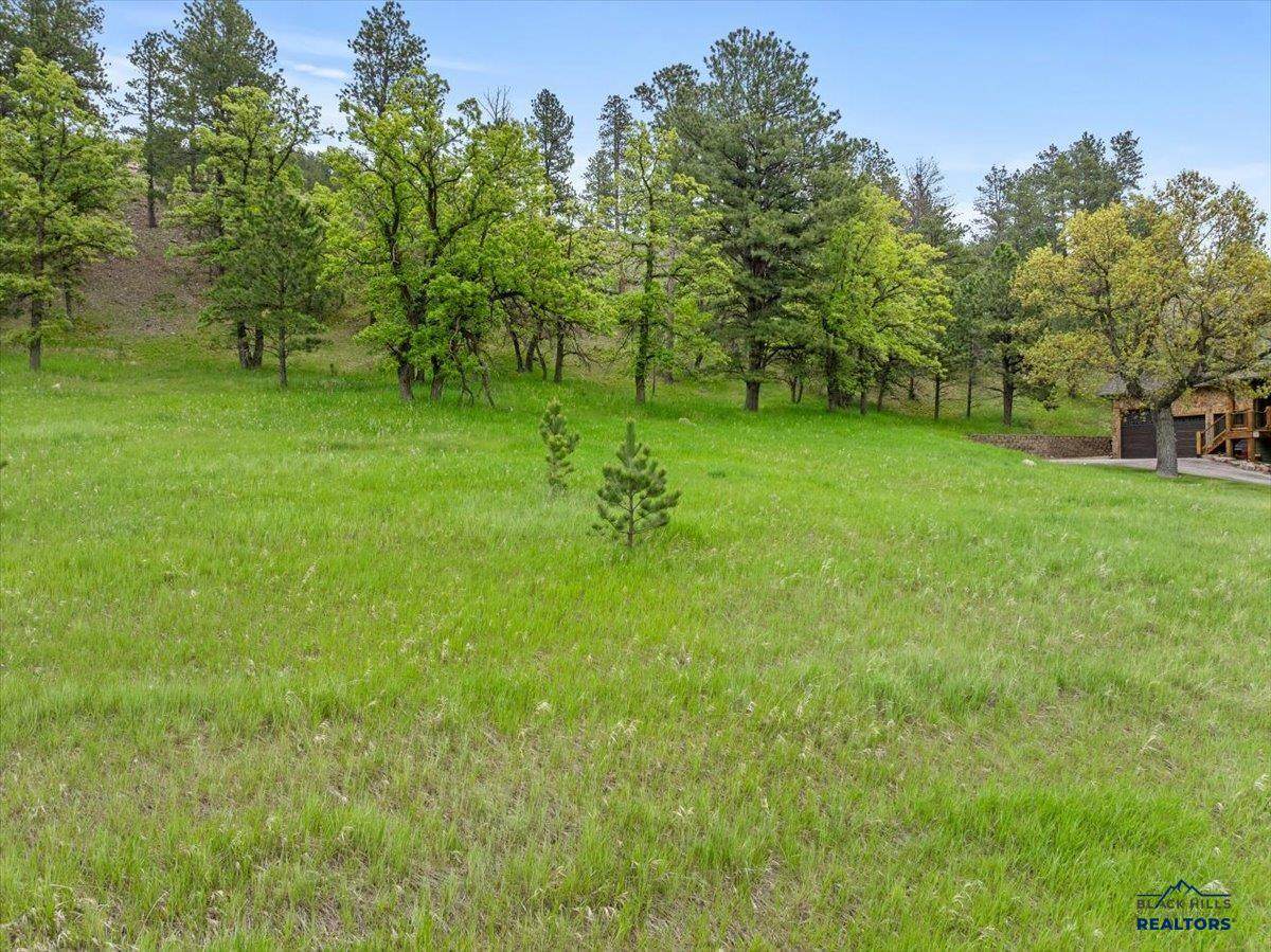 https://bt-photos.global.ssl.fastly.net/blackhills/orig_boomver_3_174064-2.jpg