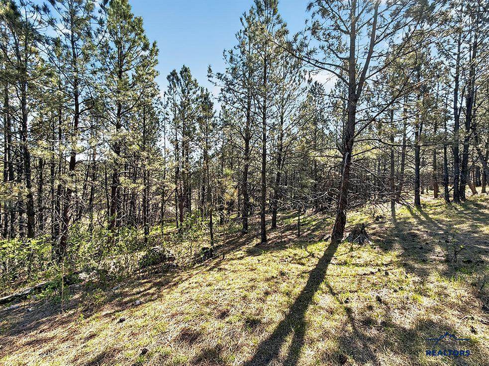 https://bt-photos.global.ssl.fastly.net/blackhills/1280_boomver_4_178685-2.jpg