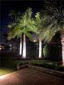 13447 Golden Palms Cir - Photo 29