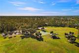 2575 Laurentina Ln - Photo 39