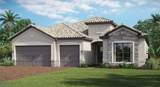 20501 Verawood Loop - Photo 1
