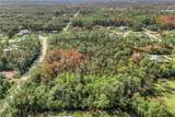 24742 Claire St - Photo 4