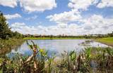 21271 Estero Palm Way - Photo 30