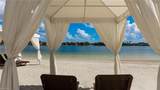 11821 Via Cassina Ct - Photo 42
