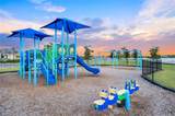 13480 Blue Bay Cir - Photo 47